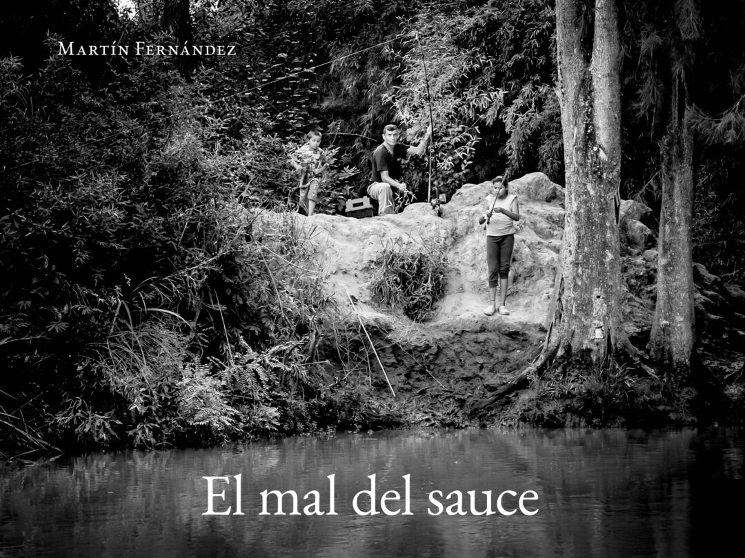 El mal del sauce